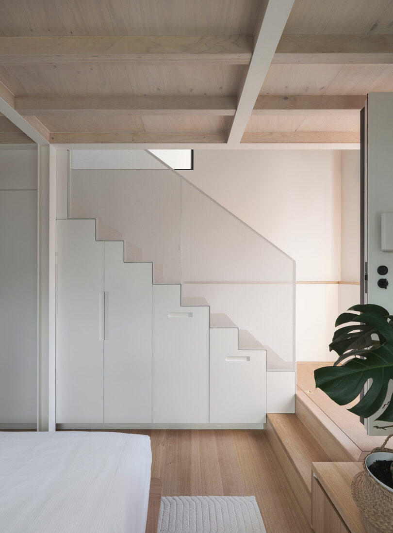 A modern interior with a staircase with built-in drawers under the steps, light wooden flooring and a large green plant in the foreground.